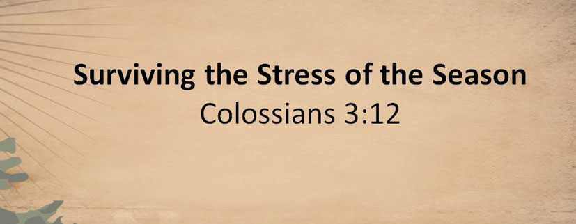 2013-12-01-Surviving_the_Stress_of_the_Season